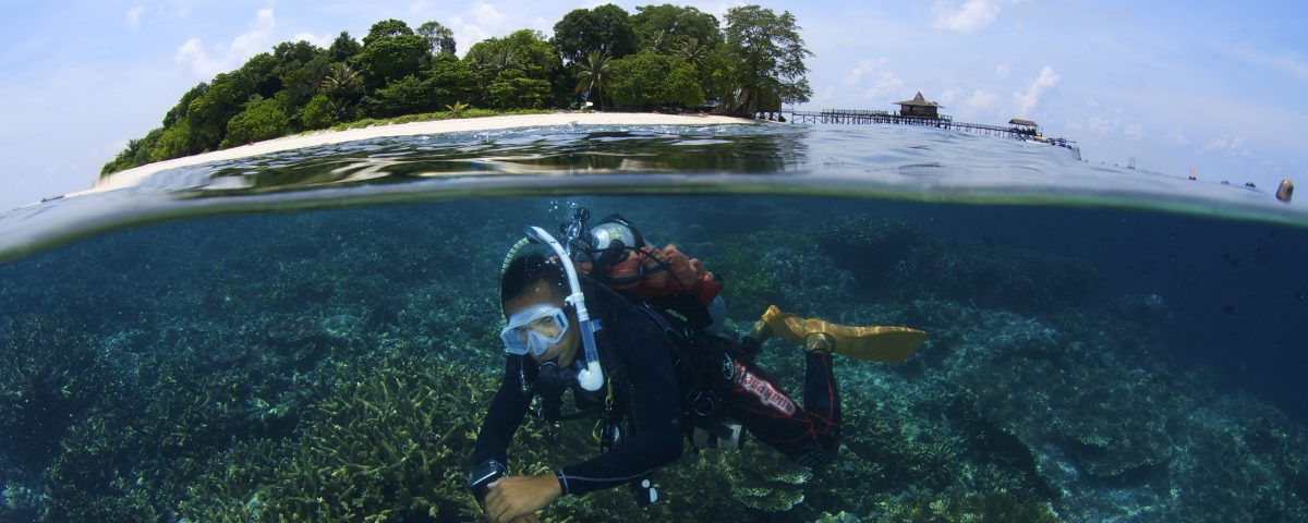 tunku abdul rahman marine park snorkeling