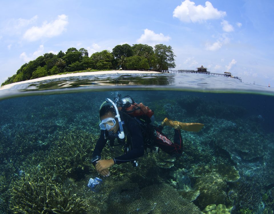 tunku abdul rahman marine park snorkeling