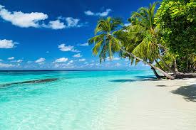 beach